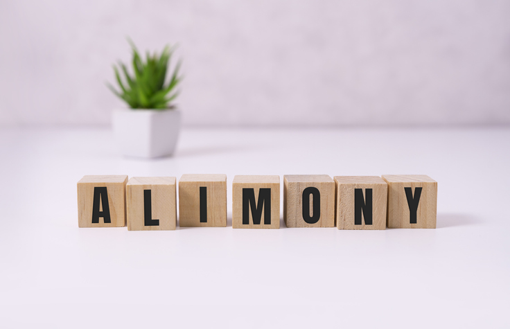 How Much Will My Alimony Be?
